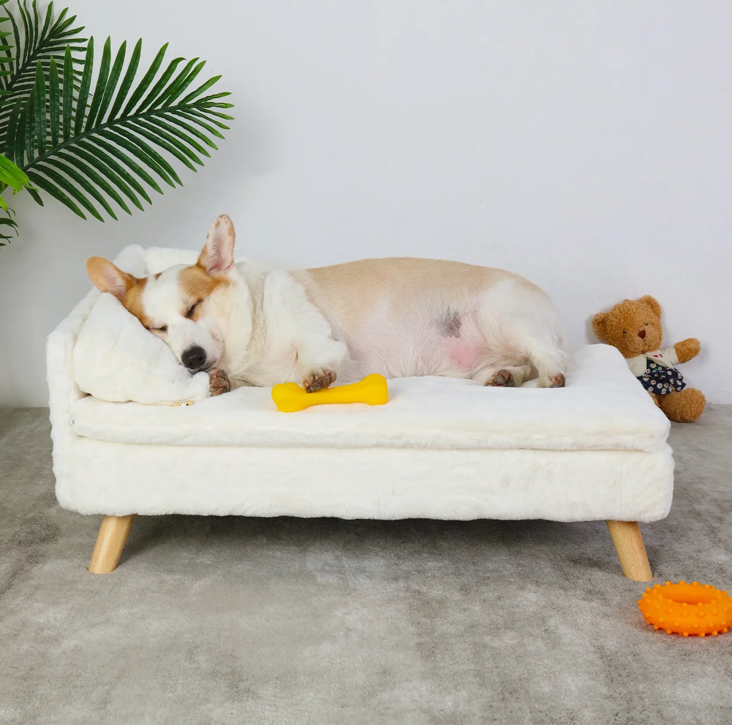 Elevated Pet Bed, with Cozy Waterproof Pad