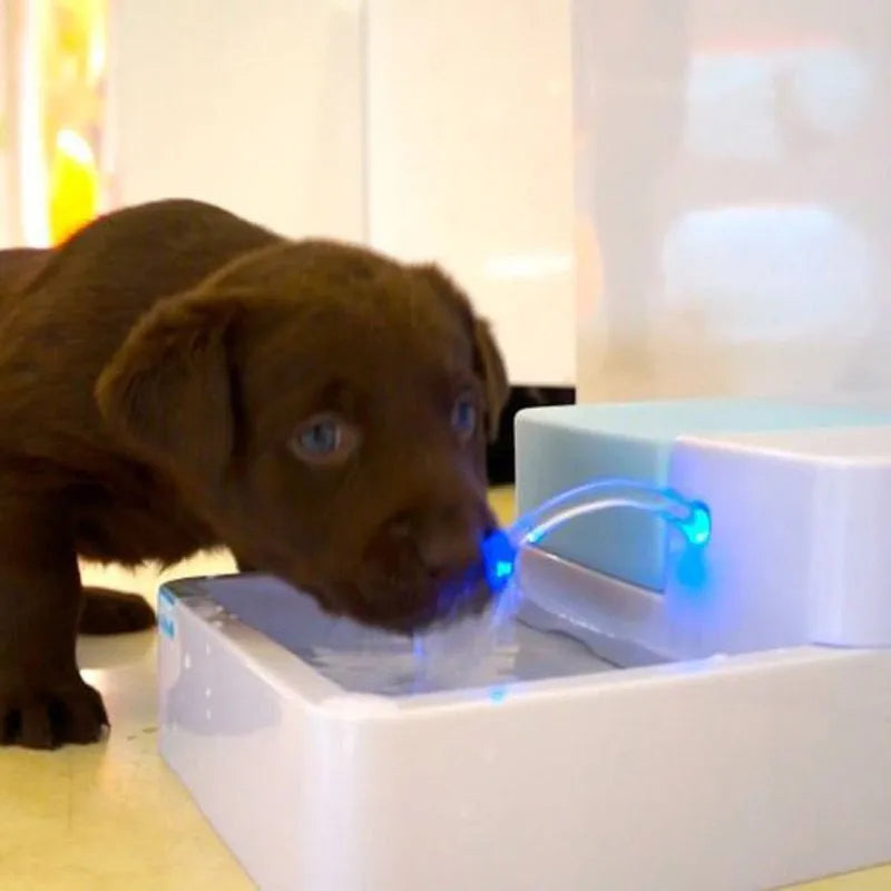 Led Automatic Filtered Drinking Fountain Pet Bowl For Dogs & cats